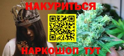 Альфа ПВП Аргун