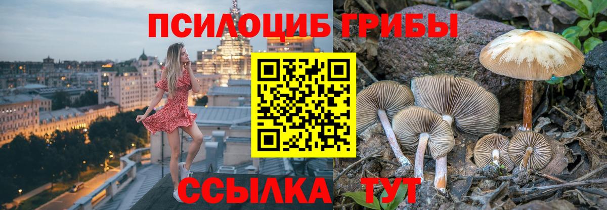Галлюциногенные грибы ЛСД  Вход с VPN  где можно купить   Архангельск 