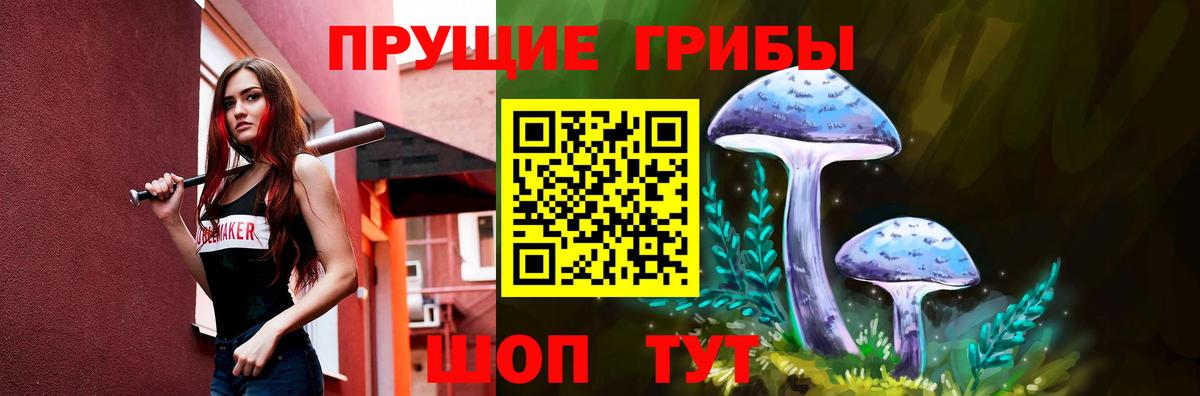 Галлюциногенные грибы прущие грибы Архангельск